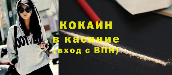 сатива Алексеевка