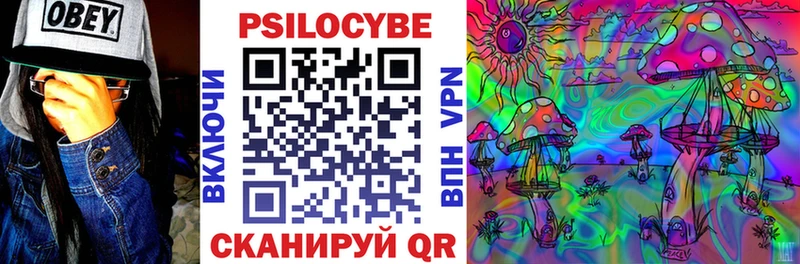 Псилоцибиновые грибы Psilocybe закладки площадка телеграм Долинск