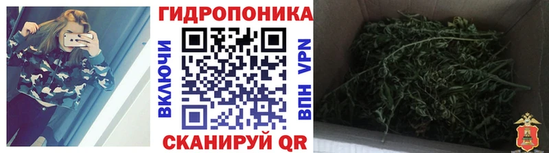 МАРИХУАНА OG Kush  Долинск 